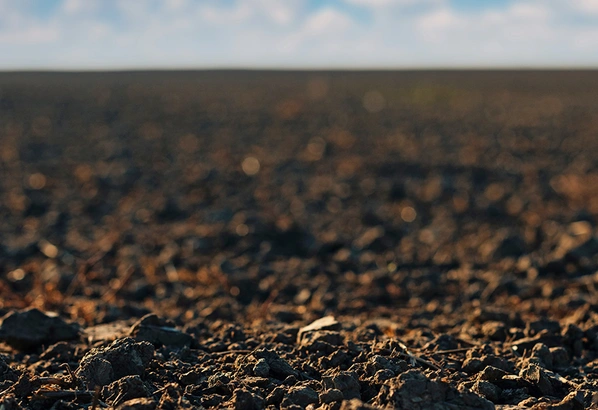 Preparation-sol Visuel