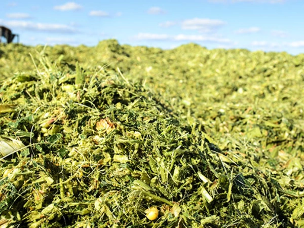 Les conservateurs d'ensilage