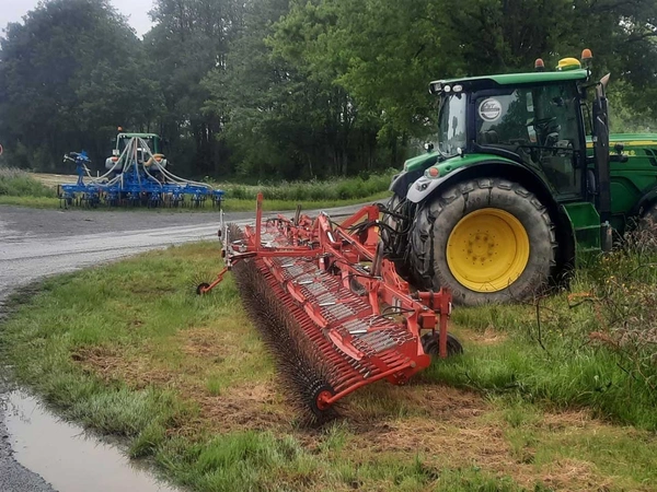 Désherbage du maïs : guide complet