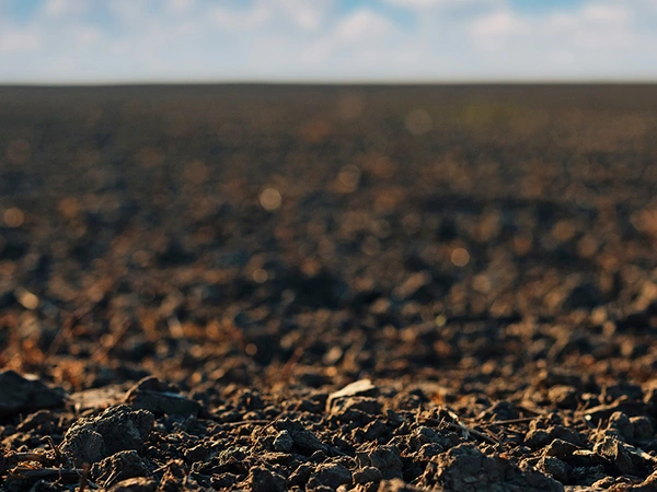Préparation du sol en maïs : créer le lit de semence idéal