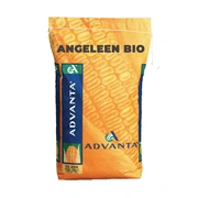 Angeleen-Bio Visuel