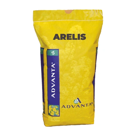 ARELIS-Sacherie Visuel
