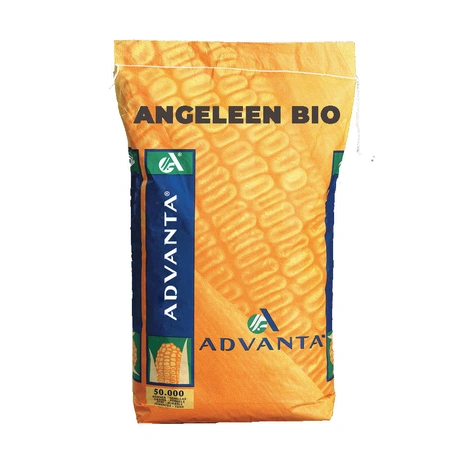 Angeleen-Bio Visuel
