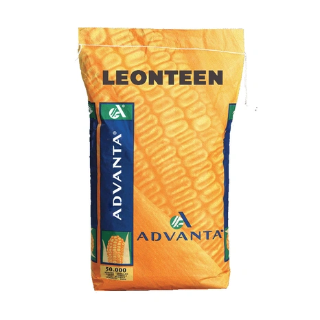 Leonteen-sacherie Visuel