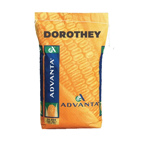 Sacherie-Dorothey Visuel
