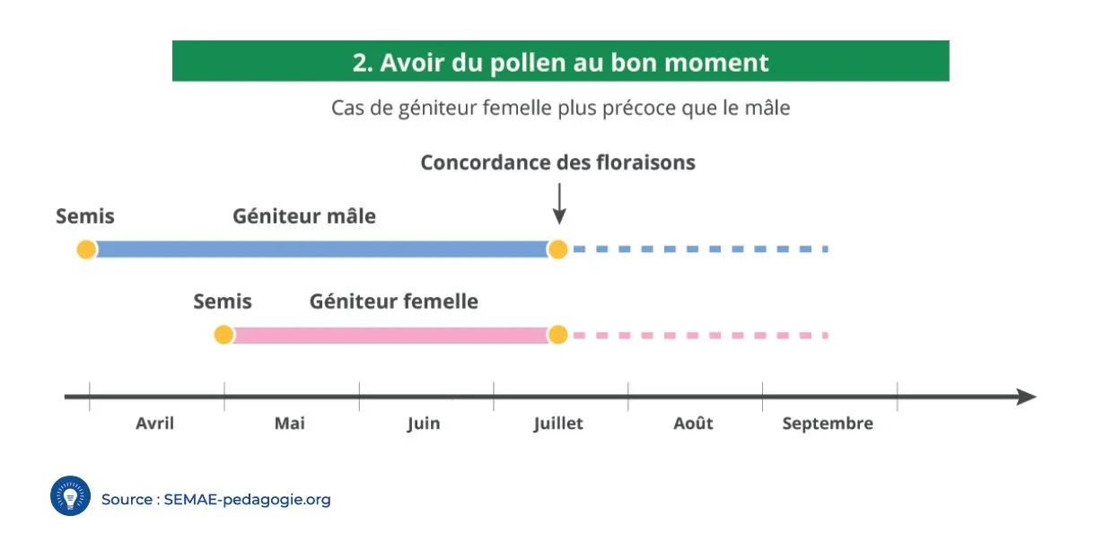 Visuel 