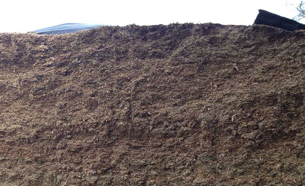 Diagnostic silo maïs ensilage